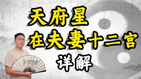 田宅紫微天府|紫微斗數【紫微星入田宅宮】解析